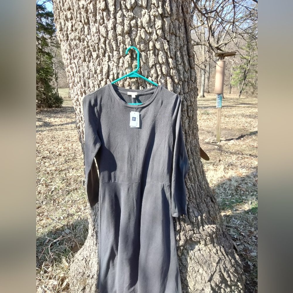 👗⬇️Price Drop!⬇️NWT GAP Dress in size S